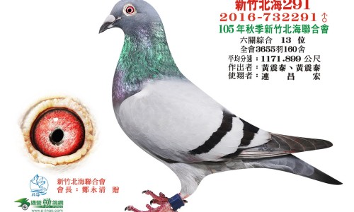 莴笋的营养功效和副作用是什么-莴笋的营养功效和副作用网 | 莴笋的功效与副作用,莴笋的营养功效和副作用禁忌